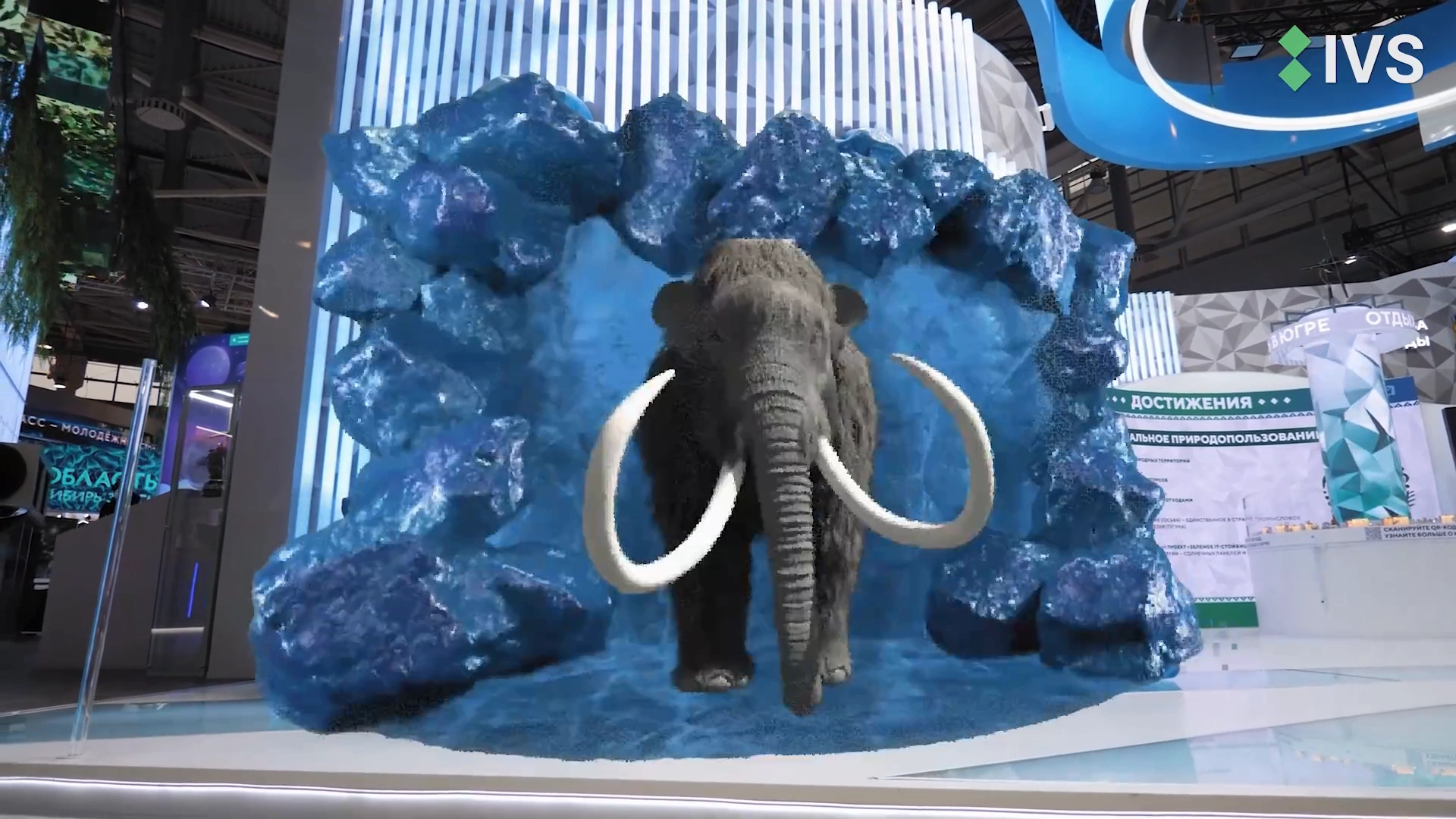 Still from the film «IVS. Yugra exhibition stand»